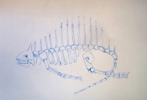 Amphibien 