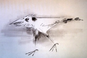 Un oiseau très très bizarre. Inspiré de Velicovic