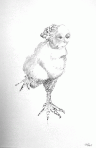 Un poulet humain